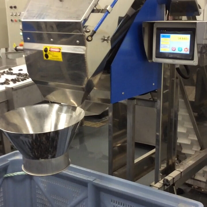 ENSACHEUSE 2 TAPIS FINISTERRA 2